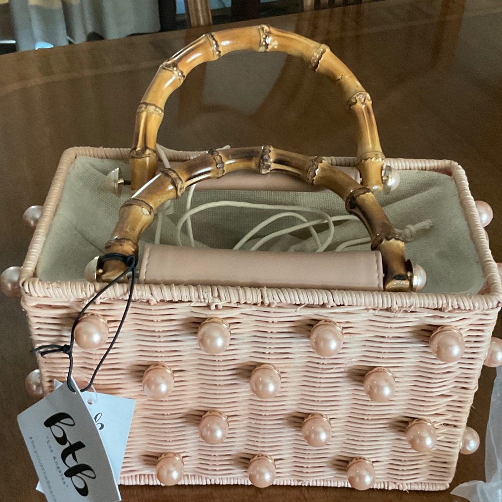 Bamboo Handle Blush Pearl-Embellished Chloe Bag NWT